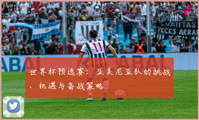 世界杯预选赛：亚美尼亚队的挑战、机遇与备战策略